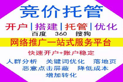 百度SEO推广公司经典之作：打造行业领先品牌